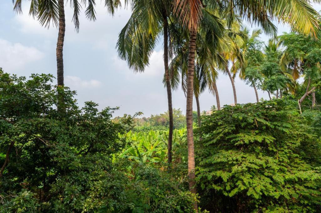 Saptami Hampi Homestay Экстерьер фото