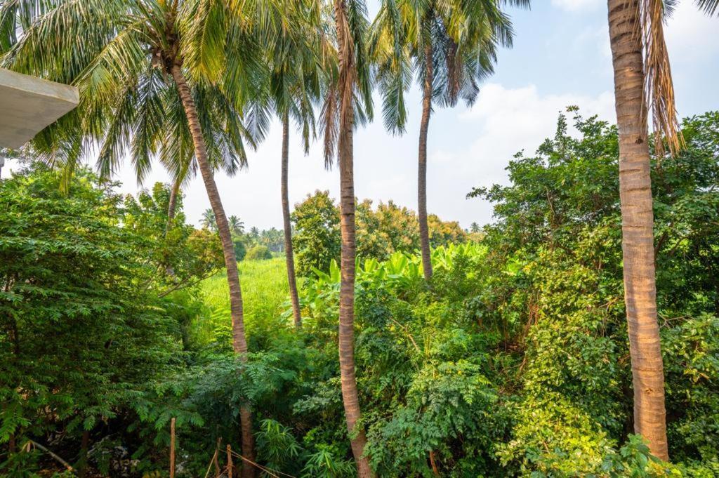 Saptami Hampi Homestay Экстерьер фото